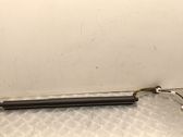 Tailgate/trunk strut/damper