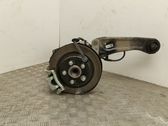 Rear wheel hub spindle/knuckle