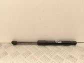 Tailgate/trunk strut/damper