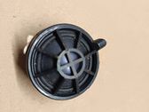 Front door high frequency speaker