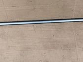 Rear door trim (molding)