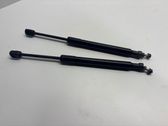 Tailgate/trunk strut/damper
