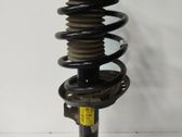 Front shock absorber/damper