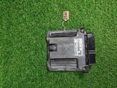 Calculateur moteur ECU