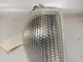 Front fender indicator light