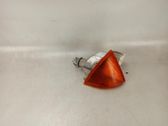 Front fender indicator light