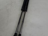 Front bonnet/hood damper/strut