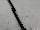 Tailgate/trunk strut/damper