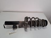 Front shock absorber with coil spring