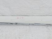 Sill/side skirt trim