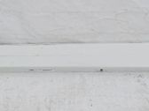 Sill/side skirt trim
