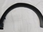 Fender trim (molding)