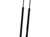 Tailgate/trunk strut/damper