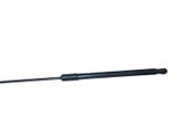 Tailgate/trunk strut/damper