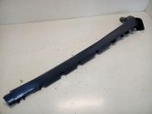 Front sill (body part)