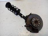 Front shock absorber with coil spring