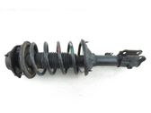 Front shock absorber with coil spring