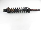 Rear shock absorber with coil spring