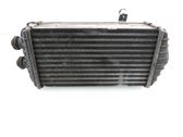 Intercooler radiator