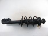 Front shock absorber with coil spring