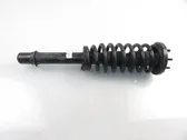 Front shock absorber with coil spring