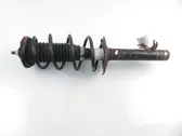 Front shock absorber with coil spring