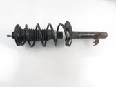 Front shock absorber with coil spring