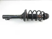 Front shock absorber with coil spring