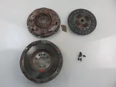 Dual mass flywheel