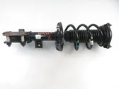 Front shock absorber with coil spring