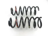 Rear coil spring