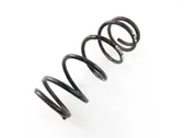 Rear coil spring