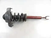 Front shock absorber with coil spring