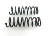 Rear coil spring