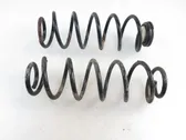 Rear coil spring