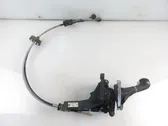 Gear selector/shifter (interior)