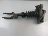 Front shock absorber with coil spring