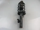 Front shock absorber with coil spring