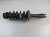 Front shock absorber with coil spring