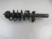 Front shock absorber with coil spring