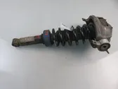 Rear shock absorber with coil spring