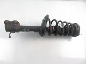 Rear shock absorber with coil spring