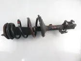 Front shock absorber with coil spring