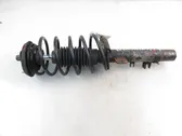 Front shock absorber with coil spring