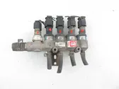 LP gas injectors set