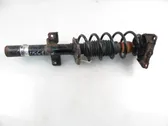 Rear shock absorber with coil spring