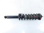 Rear shock absorber with coil spring