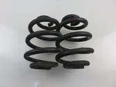 Rear coil spring