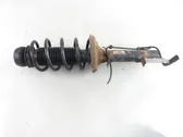 Front shock absorber with coil spring