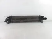 Radiatore intercooler